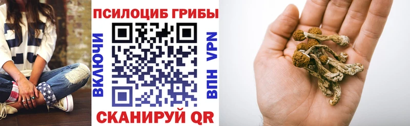 Псилоцибиновые грибы ЛСД  MEGA tor  Острогожск  закладка 